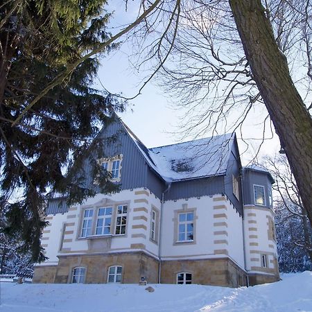 Villa-Unger Altenberg  Exteriör bild