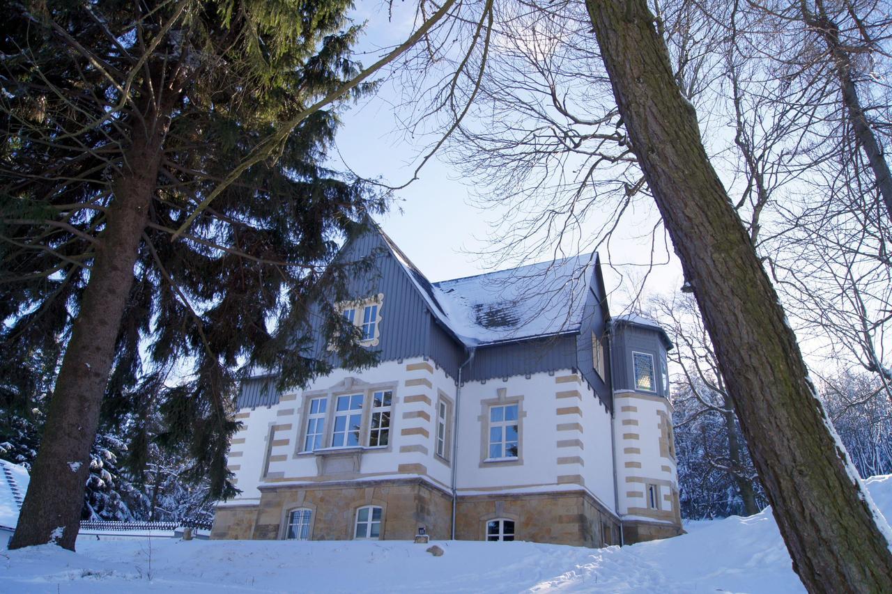 Villa-Unger Altenberg  Exteriör bild